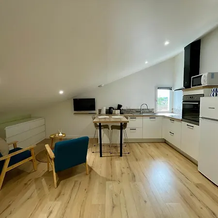 Apartment A Saint-palais Avec Parking. Saint-Palais (Pyrenees-Atlantiques)